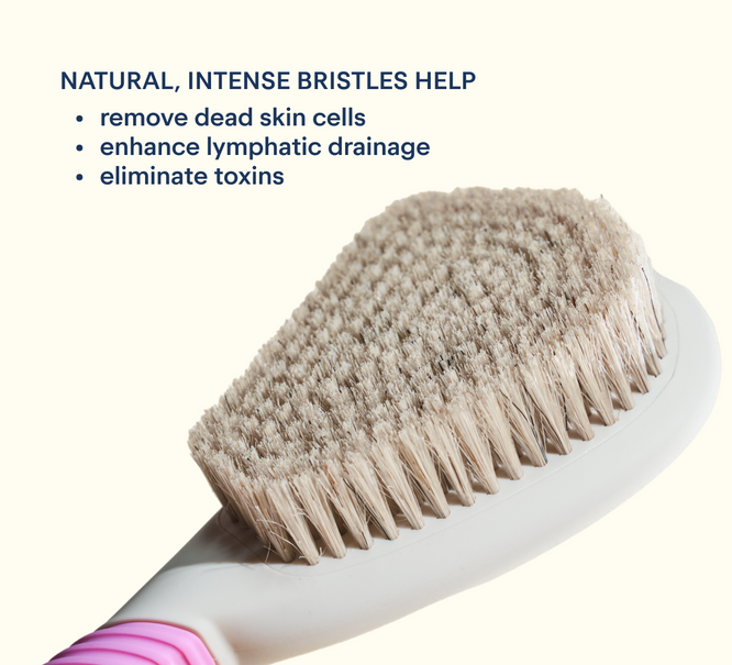 NEW limited edition cream Butter Brush